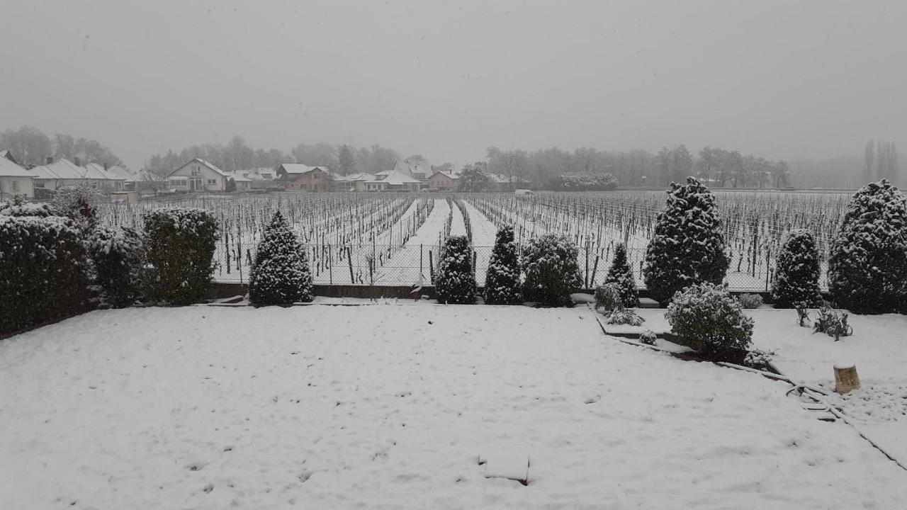 Bed and Breakfast Aux Pieds Des Vignes Ingersheim Exteriér fotografie