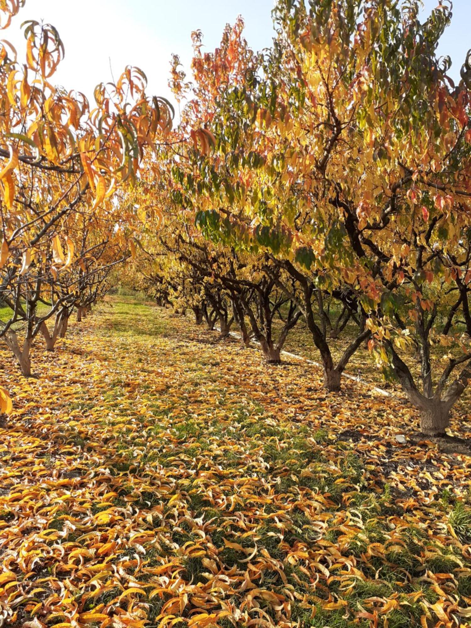 Bed and Breakfast Aux Pieds Des Vignes Ingersheim Exteriér fotografie